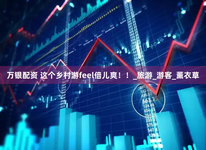 万银配资 这个乡村游feel倍儿爽！！_旅游_游客_薰衣草
